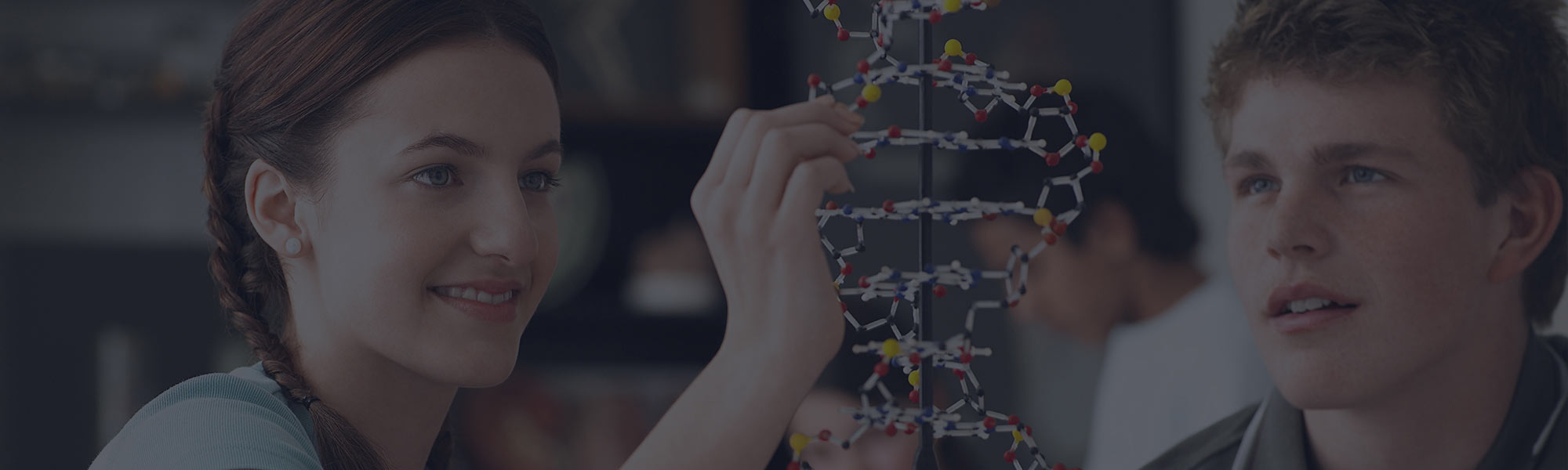 Students examining DNA double helix model